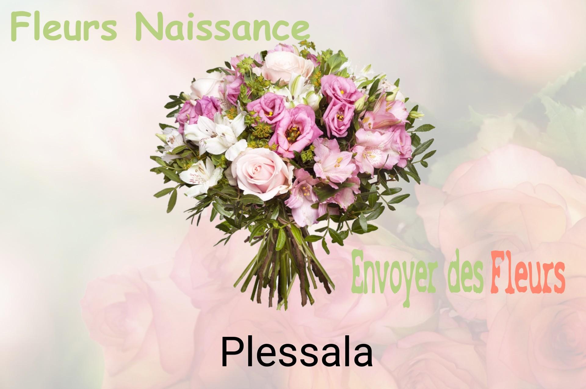 Bouquet de fleurs de naissance livré à Plessala