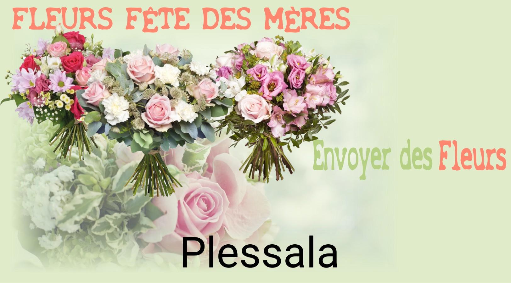 Bouquet de Fête des Mères livré à Plessala